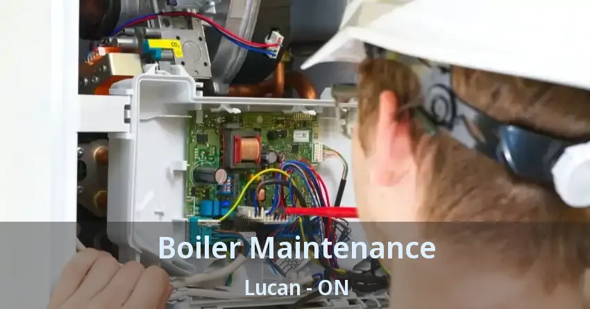 Boiler Maintenance Lucan - ON