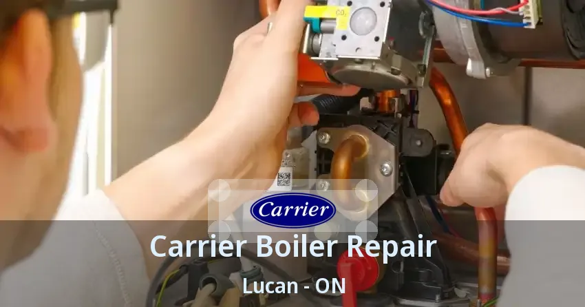 Carrier Boiler Repair Lucan - ON