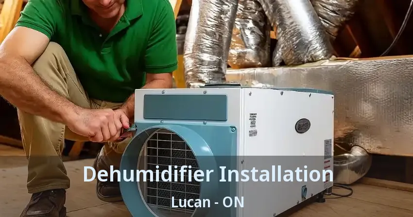 Dehumidifier Installation Lucan - ON