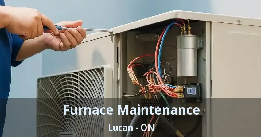 Furnace Maintenance Lucan - ON