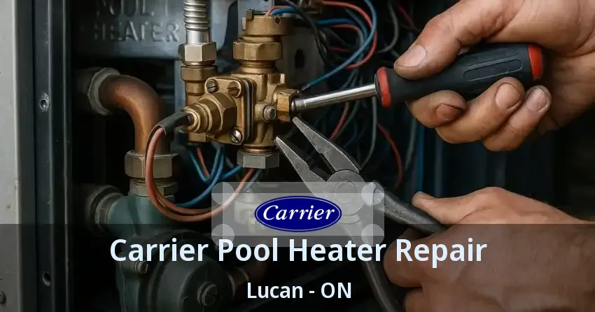 Carrier Pool Heater Repair Lucan - ON